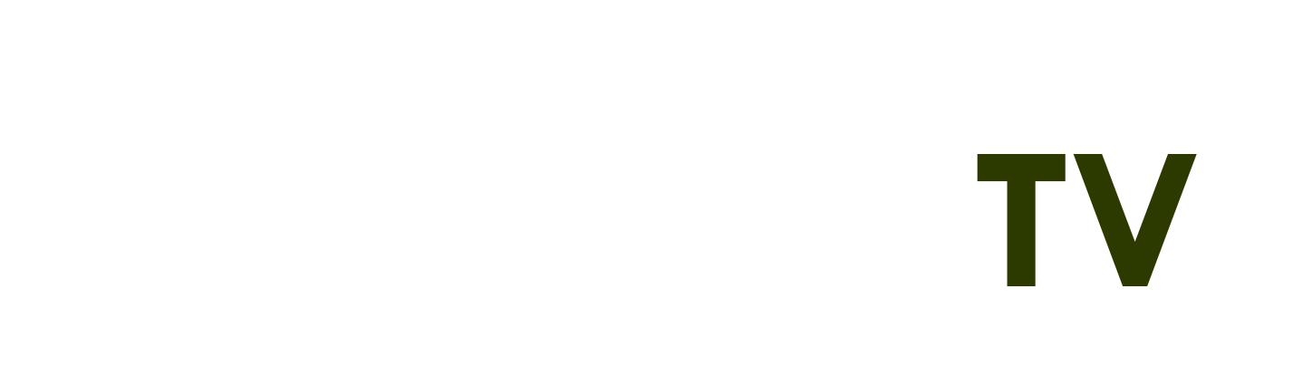 hình ảnh con mèo ngầu
